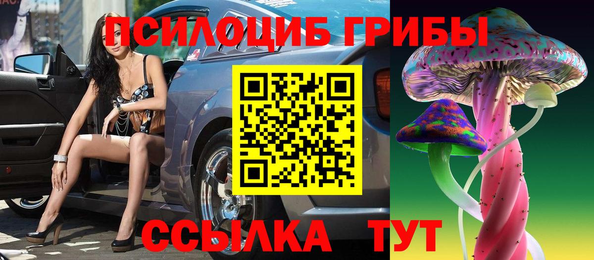 Псилоцибиновые грибы Psilocybine cubensis  Вход с VPN  Бердск 
