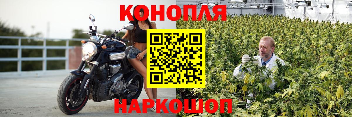 Бошки марихуана Amnesia Бердск